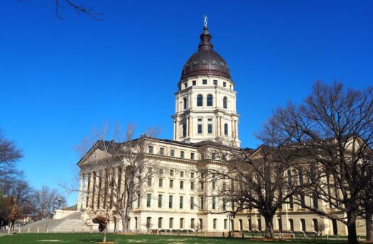 No Labels Kansas Party selects former GOP official from Eudora as chairman of alternative party